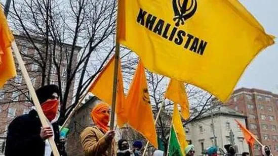 Khalistani flag